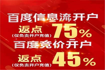 百度竞价费用策略，案例分享